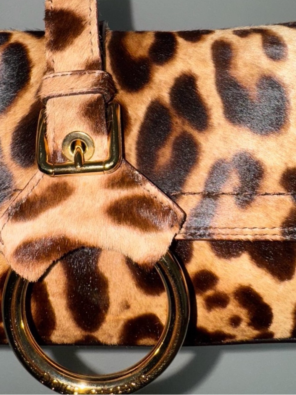 Dolce & Gabbana Leopard Bag - Picture 5 of 6